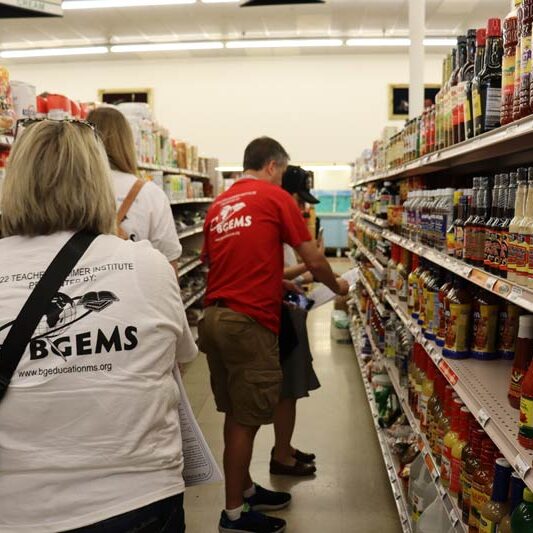 2022 teachers institute summer